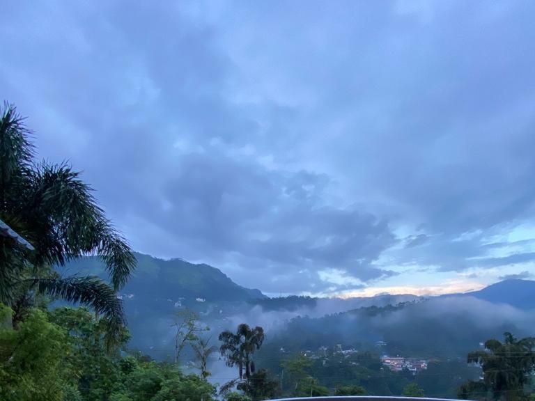 Munnar Blue Mist Bed & Breakfast Bagian luar foto