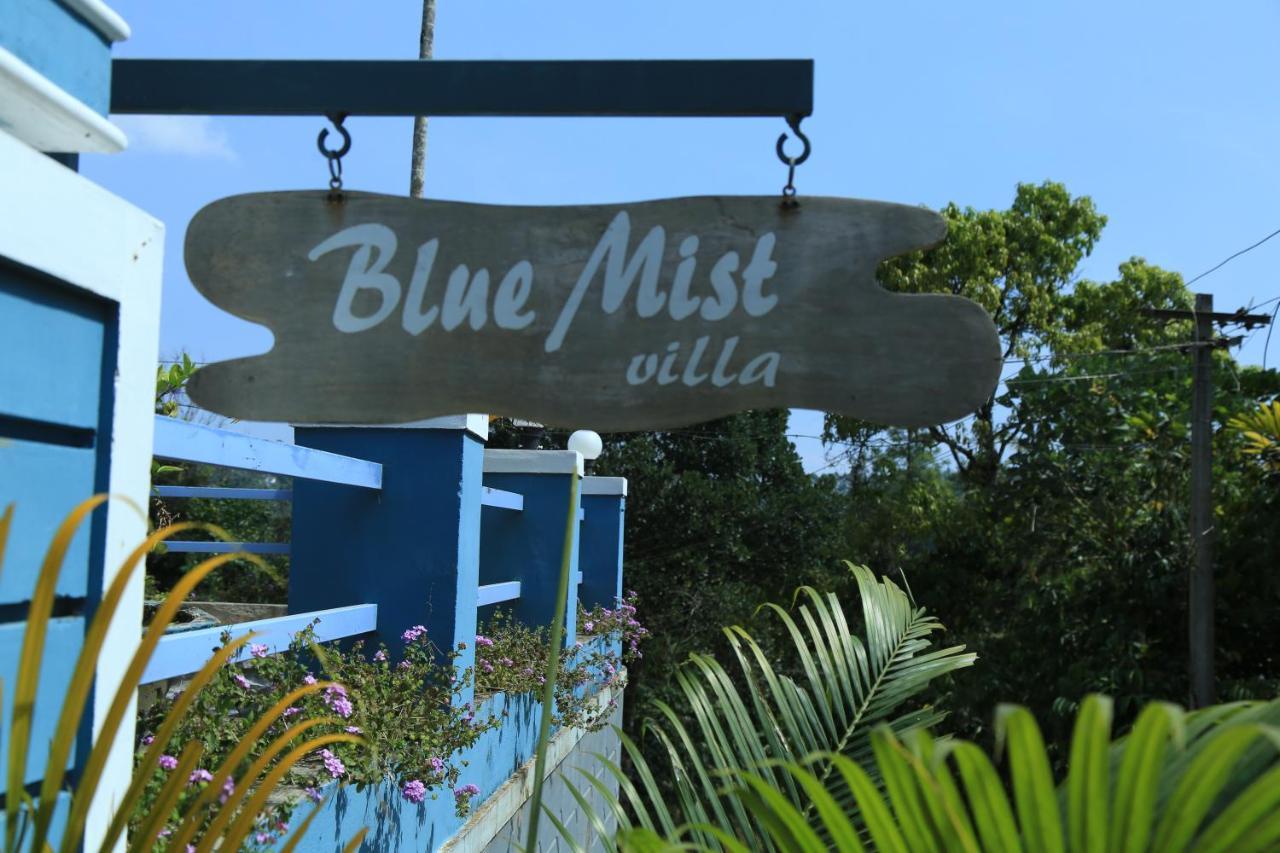 Munnar Blue Mist Bed & Breakfast Bagian luar foto